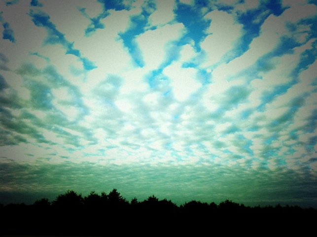 20110413-125129.jpg