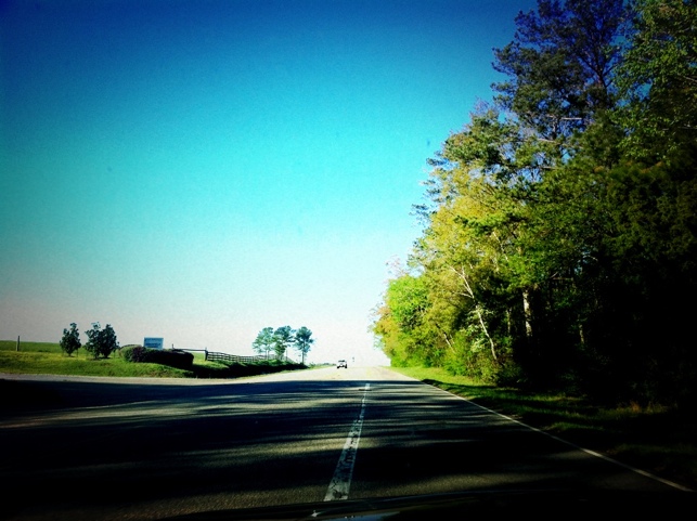20110414-121110.jpg